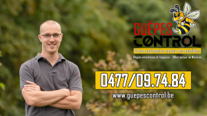 Guêpes Control